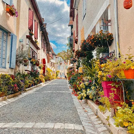 Agreable Petit Gite Avec Jardinet Σπίτι διακοπών Salies-de-Béarn